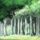 《巫师》改编游戏史：第一个能玩的竟是款短信游戏